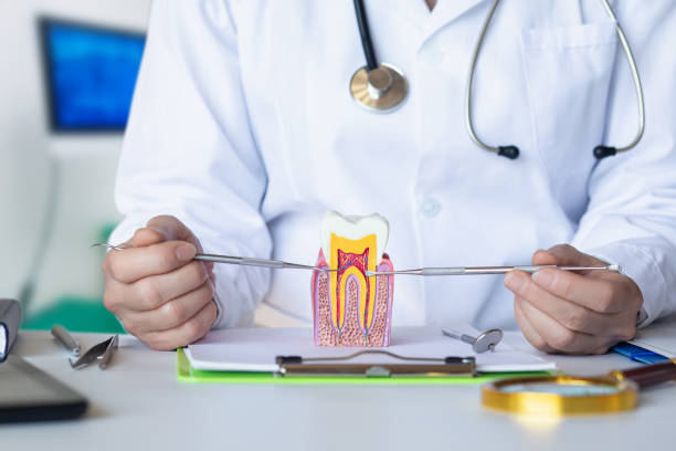 Best Emergency Root Canal Treatment in Southwest Greensburg, PA